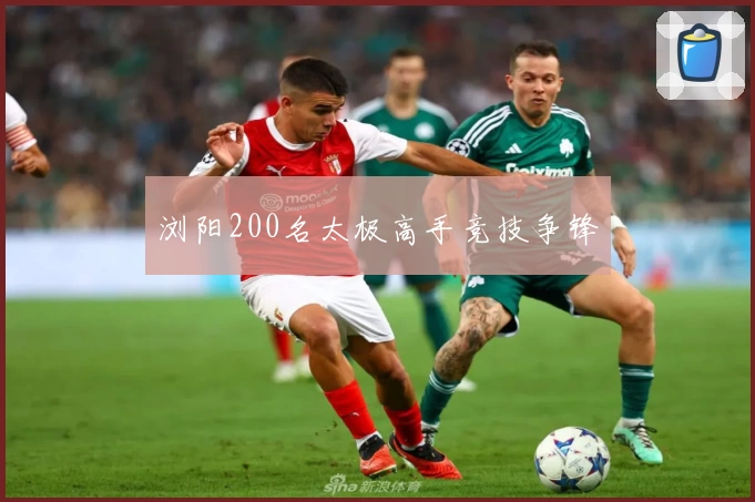 浏阳200名太极高手竞技争锋