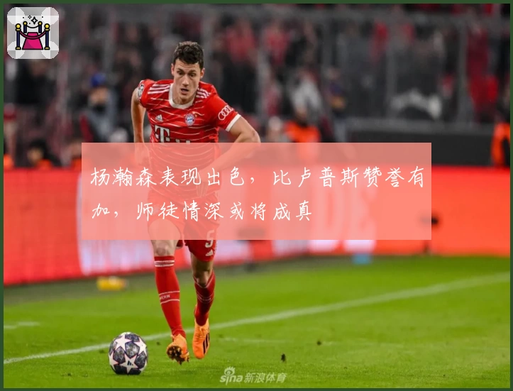 杨瀚森表现出色，比卢普斯赞誉有加，师徒情深或将成真