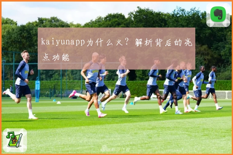 kaiyunapp为什么火？解析背后的亮点功能