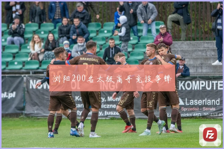 浏阳200名太极高手竞技争锋